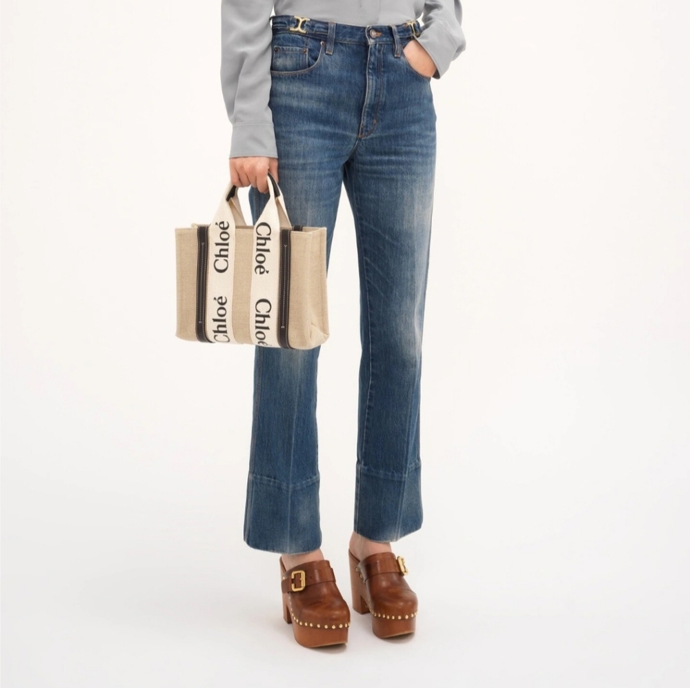 Chloé Small Woody Tote Bag in Beige and Blue - Picture 2 of 14